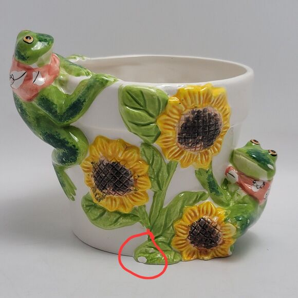 WCL Porcelain Frog Floral Mushrooms Ceramic Watering Can With Planter And Basket - Picture 14 of 16